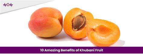 10 Amazing Benefits Of Khubani Fruit Wow Health Pakistan