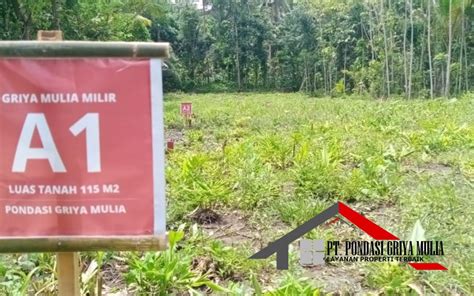 Rumah Etnik Elegan Jutaan Di Krembangan Panjatan Kulon Progo Jogja