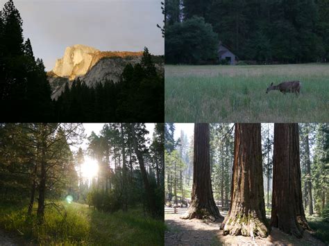 Yosemite rocks - Imprint Lab