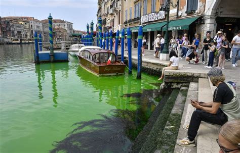 Venise La Fluoresc Ine Une Substance Non Toxique Est Lorigine De