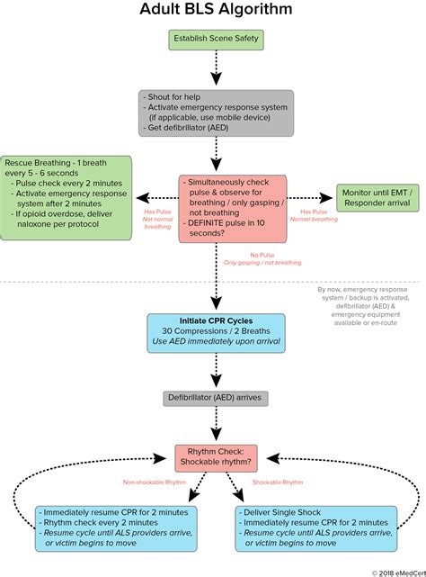 Acls Algorithms 2024 Kimmi Merline