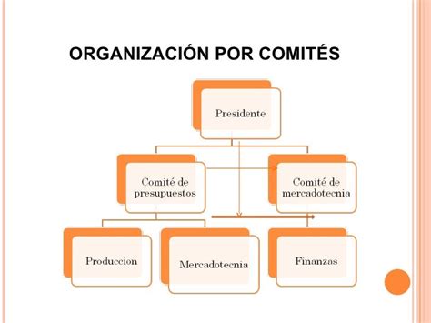 Todo Lo Relacionado Con Organizacion