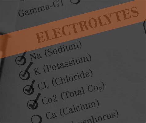 The Electrolytes Sodium And Potassium