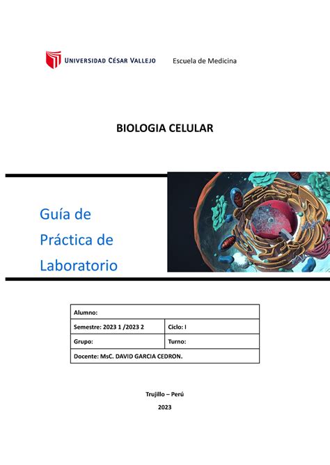 Guia De Practica Laboratorio Sesion 13 Docx Escuela De Medicina