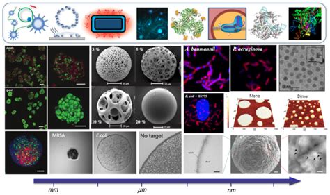 Nanomedicine And Diagnostics Lab