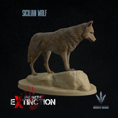 3D Printable Sicilian wolf : On a Rock by Miniature Museum