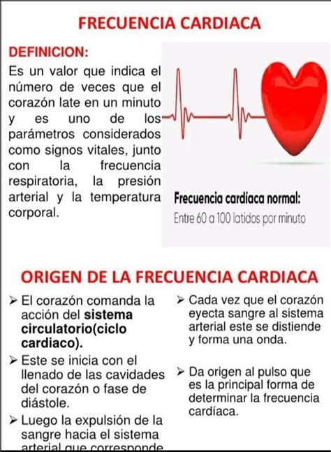 Contexto Qué Es La Frecuencia Cardiaca Brainlylat