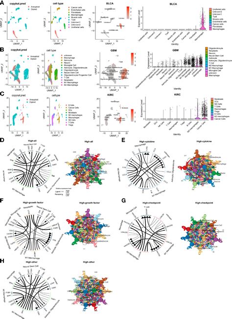 Frontiers A Pan Cancer Analysis Reveals Clec A As A Biomarker For