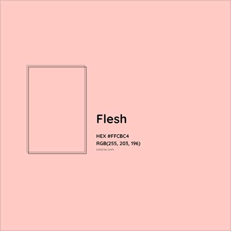 About Flesh - Color meaning, codes, similar colors and paints - colorxs.com