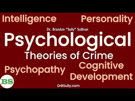 The Relationship Between Crime Personality And Intelligence