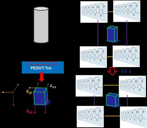 Scheme A Optical Spectroscopy Of The Pedot Tos Thin Film With The