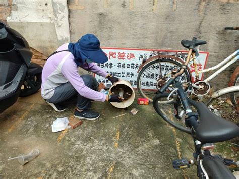 台南登革熱 181、大內區現首例！ 颱風大雨為防疫再添挑戰 自由健康網