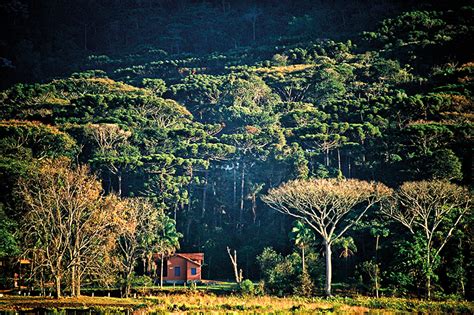 Nova Baden Parques De Minas Gerais