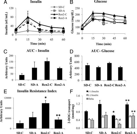 Direct Renin Inhibition Improves Systemic Insulin Resistance And