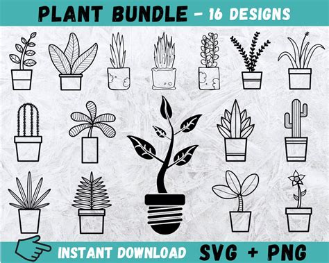 Plant Svg Potted Plants Svg Plants Svg Houseplants Svg Flower Pot