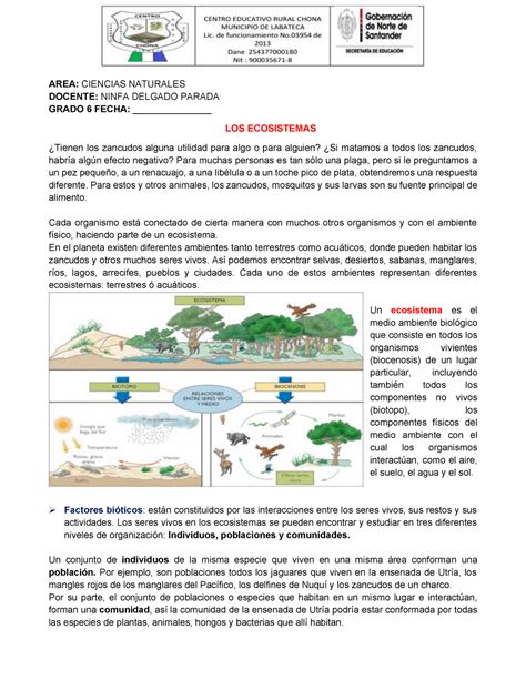 Tipos De Ecosistemas Terrestres Ejercicios Actualizado Octubre Hot