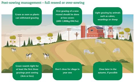 Grazing Management Teagasc Agriculture And Food Development Authority