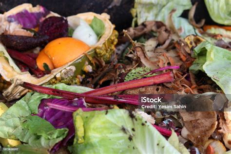 Layers Of Organic Matter In A Compost Pile Stock Photo - Download Image ...