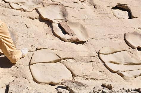 What are these sedimentary structures? | ResearchGate