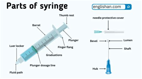 Parts Of Syringe And Their Functions • Englishan