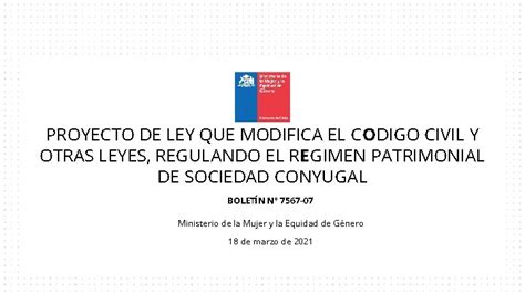 Proyecto De Ley Que Modifica El Codigo Civil