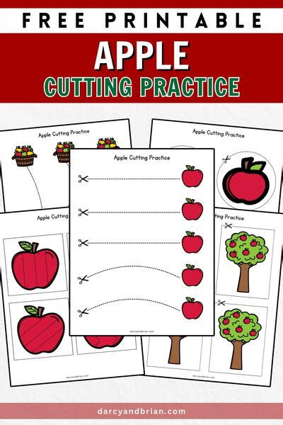 Apple Cutting Worksheet