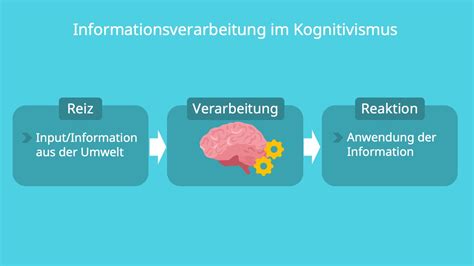 Kognitivismus Kognition Lernen Und Beispiele Mit Video