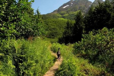 Anchorage Parks and Trails | Where To Go Hiking In… | ALASKA.ORG