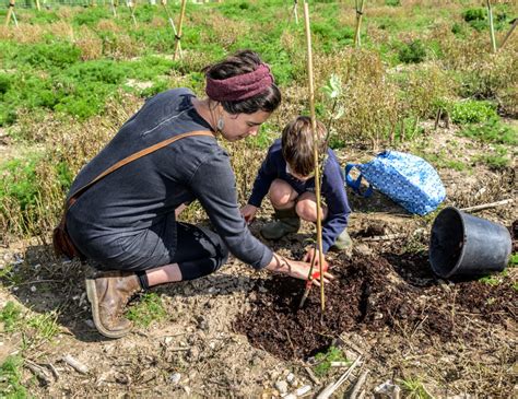 Planting And Nurturing Trees Race