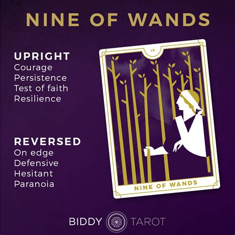 Seven Of Wands Tarot Card Meanings Biddy Tarot Off