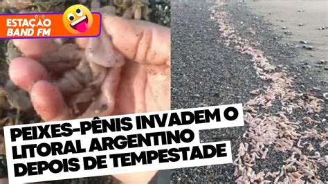 PEIXES PÊNIS INVADEM O LITORAL ARGENTINO DEPOIS DE TEMPESTADE YouTube