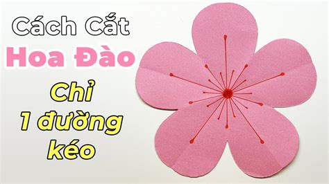 Khám phá Hoa đào nở 6 cánh với đủ màu sắc và hình dạng