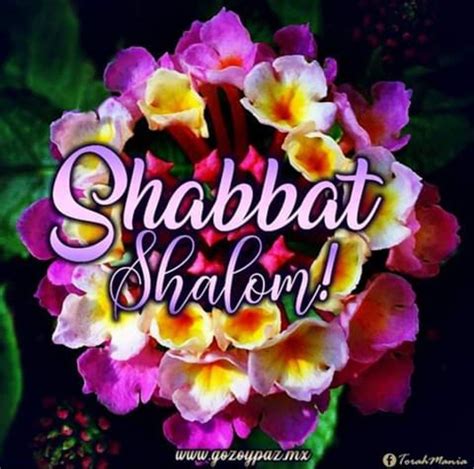 Pin By Sherrie Fleeter On Shabbat Shalom Images Shabbat Shalom