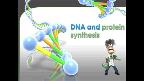 Grade 12 Dna And Protein Synthesis Powerpoint Caps • Teacha