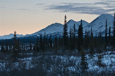 Traveling with Andrew and Jen: Denali Highway