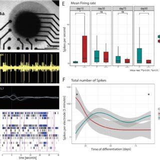 3xSNCA MOs Present A Decrease In Electrophysiological Activity Over