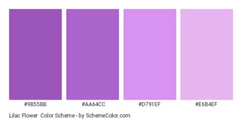 Lilac Flower Color Scheme » Monochromatic » SchemeColor.com