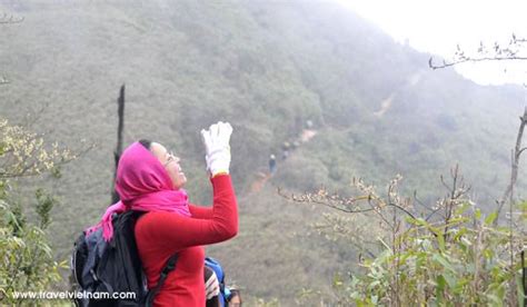 Trek Fansipan Mountain 9 Days Sapa Trekking Tours