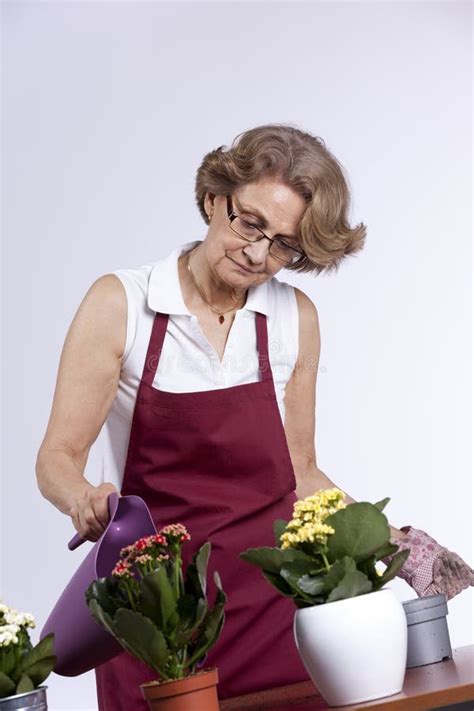 Mujer Mayor Que Planta Las Flores Imagen De Archivo Imagen De Flor