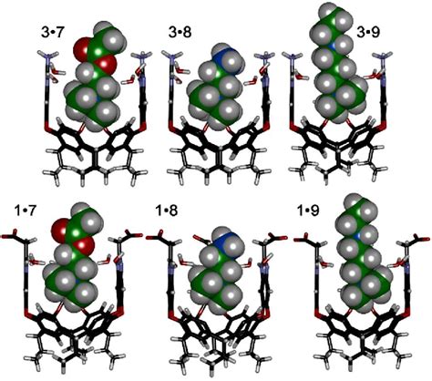 Minimized Structures Of The Complexes Between Cavitands 1 And 3 Front Download Scientific