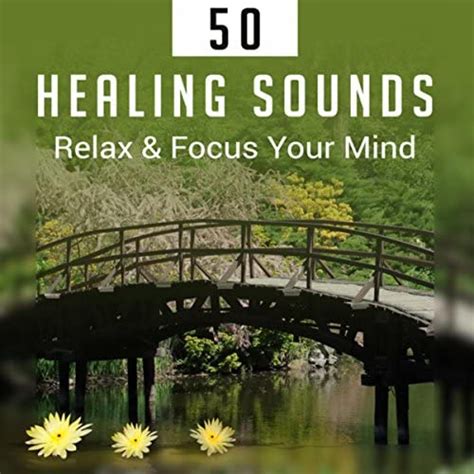 Healing Sounds Relax Focus Your Mind Zen Music Serenity Nature