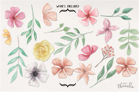 Watercolor Floral Pastels 18 Elements Pretty Flowers