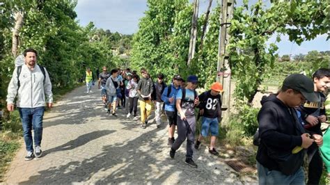 Eco trilho Eco Escolas Junta de Freguesia de Aldão