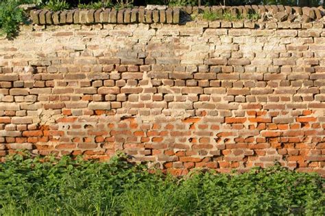 Old Brick Walls In The Forest Overgrown With Plants Stock Photo Image