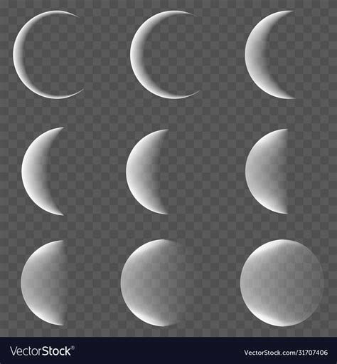 Set Moon Phases On Transparent Background Vector Image