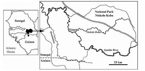 Map Of The Niokolo Koba National Park Showing The Location Of The