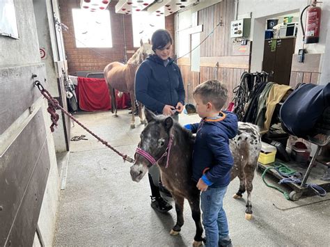 Zwergenreiten Reitanlage Brunnenfeld