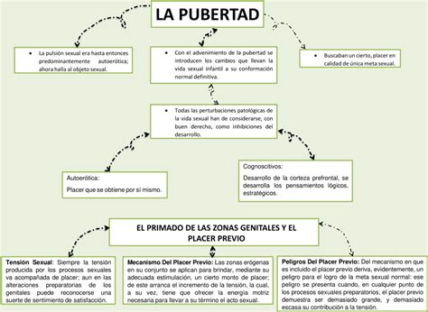 Mapas Conceptuales De La Pubertad 【descargar】