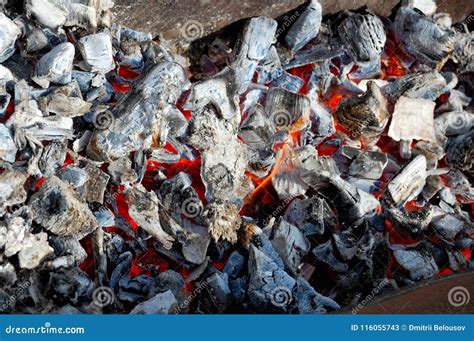 Red Hot Coals Of Fire Stock Image Image Of Barbecue