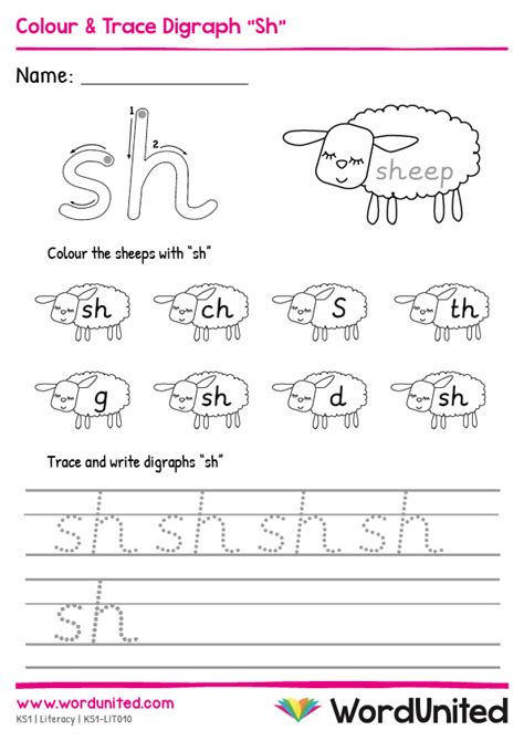 Digraph Worksheet Sh Teach Starter Worksheets Library